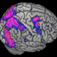 Illustration for article titled Your Brain Will Eventually Be Used Against You